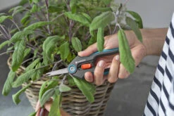 Gardena FreshCut Kruiden Oogstschaar -Gardena 12212 20 1