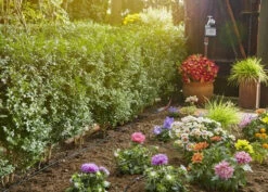 Gardena MDS Startset S Voor 15 M Rijplanten -Gardena 13010 20 gardena mds startset s rijplanten 2.64 3