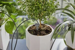 Gardena Vakantie Bewateringsset Incl. Reservoir -Gardena 13366 20 4