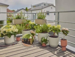 Gardena MDS S Set Voor Balkon & Terras -Gardena 13401 20.2