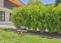 Gardena MDS Startset Voor Hagen En Rijplanten 25m -Gardena 13500 20.2