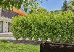 Gardena MDS Uitbreidingsset Voor Hagen En Rijplanten 50m -Gardena 13504 20.2