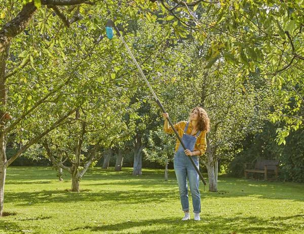 Gardena Combisystem Bessen Plukker 6 Gardena Combisystem Bessen Plukker - Afbeelding 4