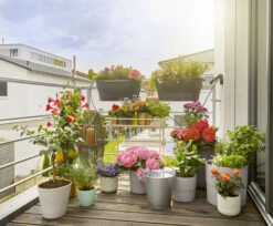 Gardena AquaBloom Set -Gardena 4078500049481 gardena aquabloom set 3.319