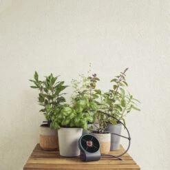 Gardena AquaBloom Set -Gardena 4078500049481 gardena aquabloom set 5.319