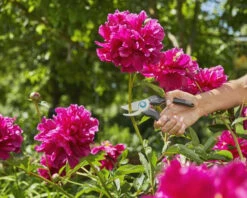 Gardena EcoLine Snoeischaar -Gardena 4078500057523 10