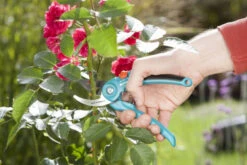 Gardena Classic Snoeischaar -Gardena 8857 20 gardena classic snoeischaar 2.60 3