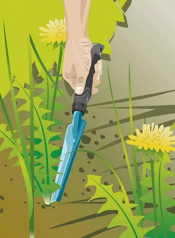 Gardena Onkruidsteker 6 Gardena Onkruidsteker - Afbeelding 4