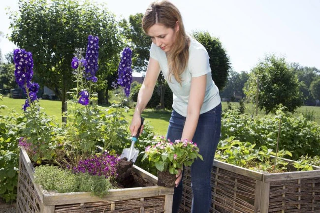 Gardena Handschepje 6 Gardena Handschepje - Afbeelding 4