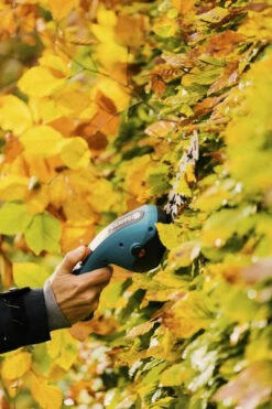 Gardena Accu Gras En Struikschaar ClassicCut Li -Gardena 9885 20 1