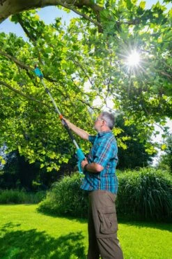 GARDENA Accu Telescopische Snoeizaag TCS 20/18 P4A Solo -Gardena gardena accu telescopische snoeizaag tcs 20 18 p4a solo 1000x1500 640af3255d2cf l