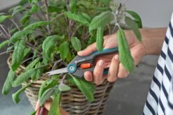 GARDENA FreshCut -Gardena gardena freshcut 1500x1000 640af8175f65c l