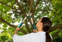 GARDENA Takkenschaar EasyCut 500 B -Gardena gardena takkenschaar easycut 500 b 1500x1000 640af7e5d4f80 l