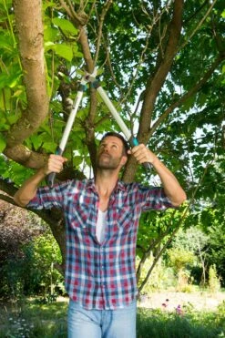 GARDENA Takkenschaar EasyCut 680 B -Gardena gardena takkenschaar easycut 680 b 1000x1500 640af7e944a14 l