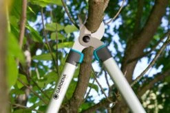 GARDENA Takkenzaag EasyCut 680 B (12003 + 8754 E12) -Gardena gardena takkenschaar easycut 680 b 8754 1500x1001 640af7ebad3ab l