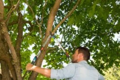 GARDENA Takkenschaar TeleCut Long 650-900 B 8 GARDENA Takkenschaar TeleCut Long 650-900 B -Gardena gardena telecut long 650 900b 1500x1001 640af7f15744f l